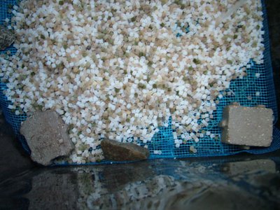 DSCF5393.JPG