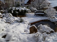 Winter 3.jpg