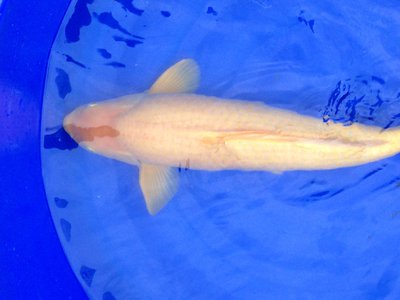 WD_9075.JPG