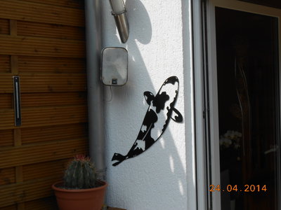 DSCN0218.JPG
