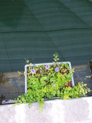 20140510_180724.jpg