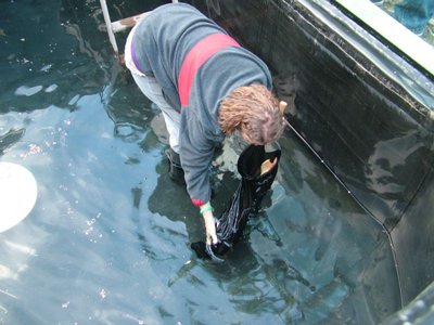DSCF5484.JPG