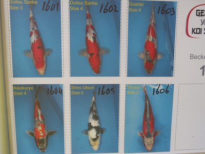 P1020525.JPG