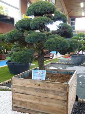 P1020542.JPG