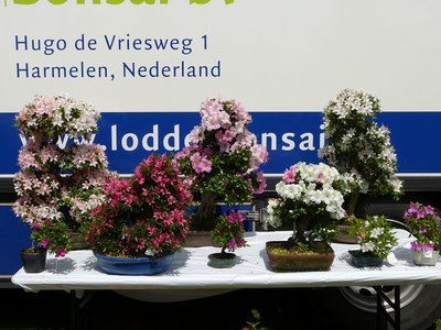 P1020545.JPG