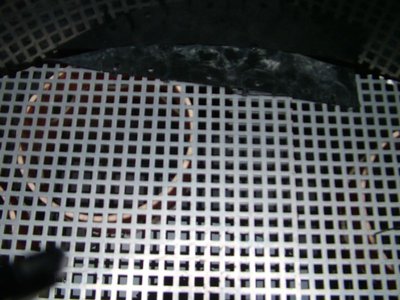 DSCF5551.JPG