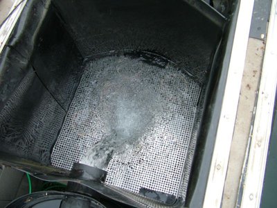 DSCF5555.JPG
