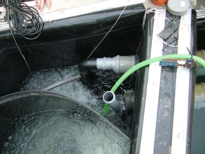 DSCF5556.JPG