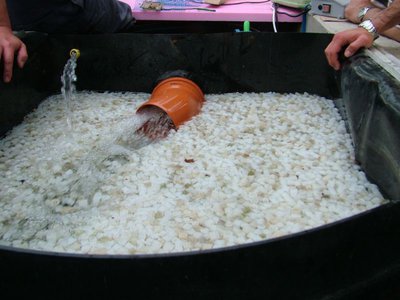 DSCF5588.JPG
