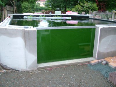 DSCF5643.JPG