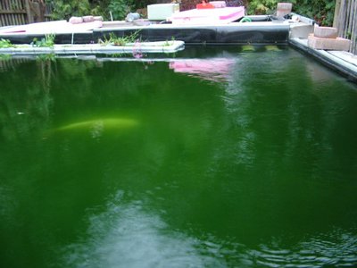 DSCF5649.JPG