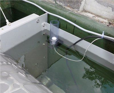 TF-Einbau (12) - Kopie.JPG