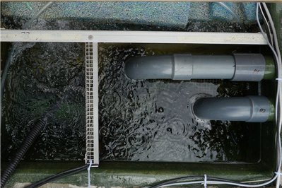 TF-Einbau (3) - Kopie.JPG