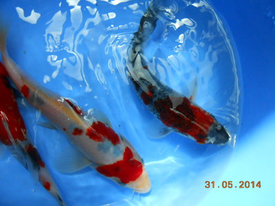 DSCN0224.JPG