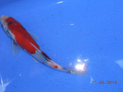 DSCN0226.JPG