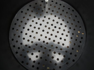 DSCI0004.JPG