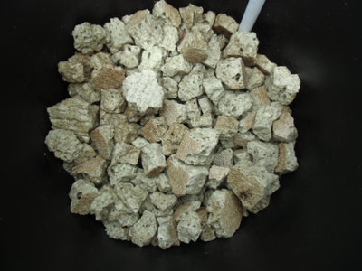 DSCI0001.JPG