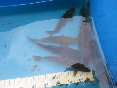 20140601_105339.jpg