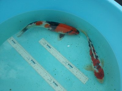 20140602_115142.jpg