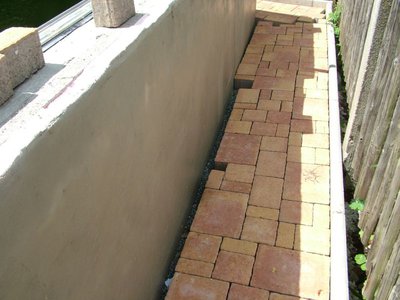 DSCF5654.JPG