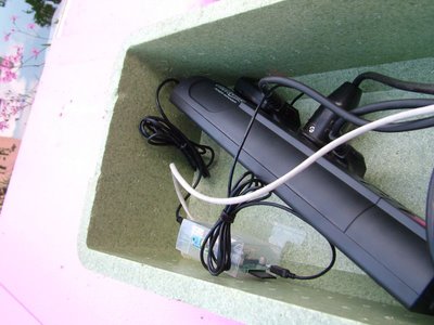 DSCF5658.JPG