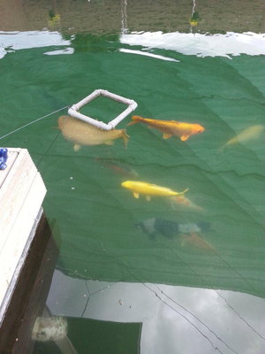 20140605_164010.jpg