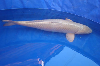 DSC02260_Bildgröße ändern.JPG