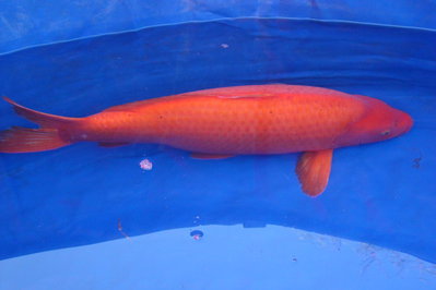 DSC02251_Bildgröße ändern.JPG