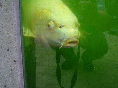 DSCF5784.JPG