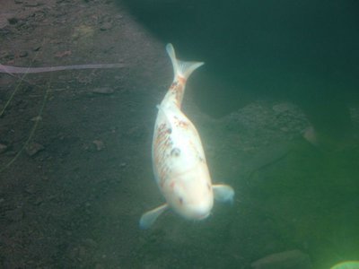 DSCF5600.JPG