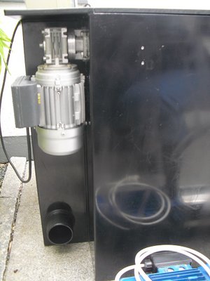 CIMG1231.jpg