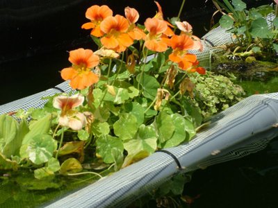 DSCF5775.JPG