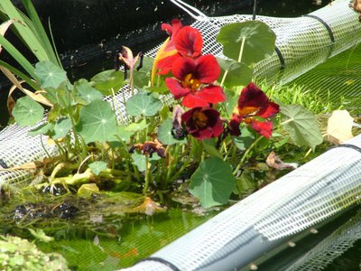 DSCF5776.JPG