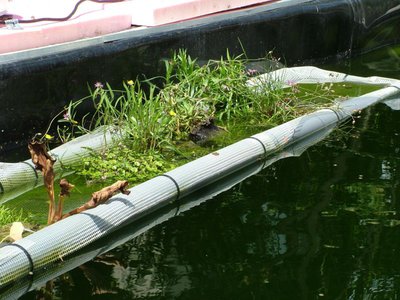 DSCF5777.JPG