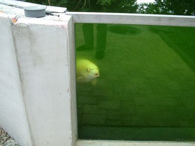 DSCF5783.JPG