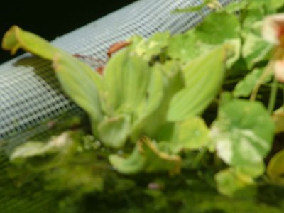 DSCF5778.JPG