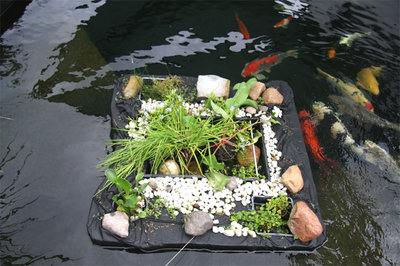 Insel1.jpg