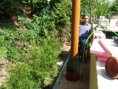 DSCF5833.JPG