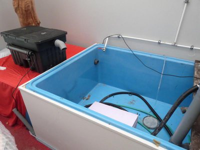 P1080602.JPG