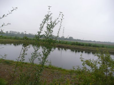 p1090061.jpg