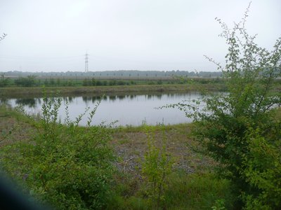 p1090063.jpg