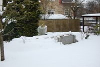 TeichWinter1.jpg