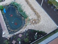 Teich11[1].jpg