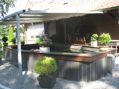teichbilder 2014 003.JPG