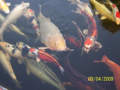 2013 002.JPG