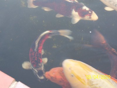 2013 007.JPG
