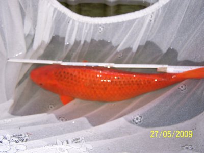 2013 055.JPG