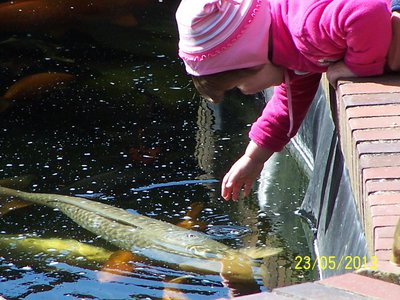 2013 215.JPG
