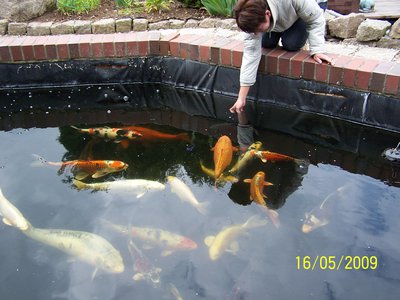 2013 051.JPG