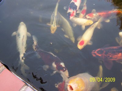 2013 004.JPG